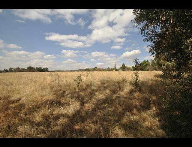 FARM FOR SALE IN EYE OF AFRICA